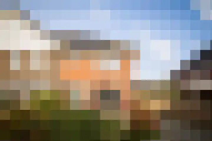 Roodborst 14 Olst thumbnail 25