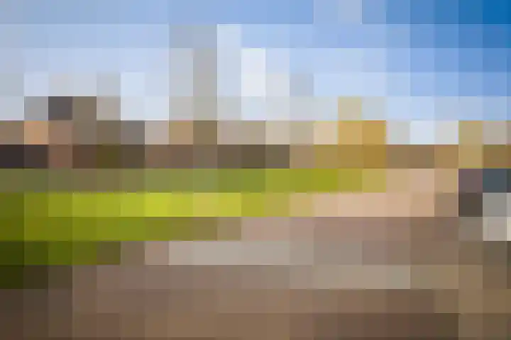 Roodborst 14 Olst thumbnail 26