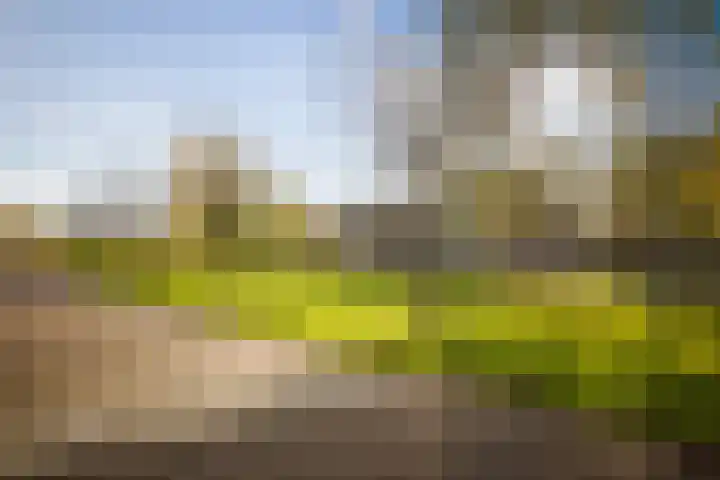 Roodborst 14 Olst thumbnail 27