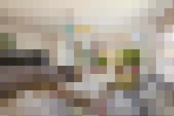 Roodborst 14 Olst thumbnail 4