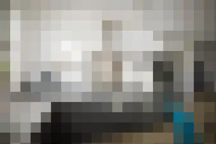 Roodborst 14 Olst thumbnail 6