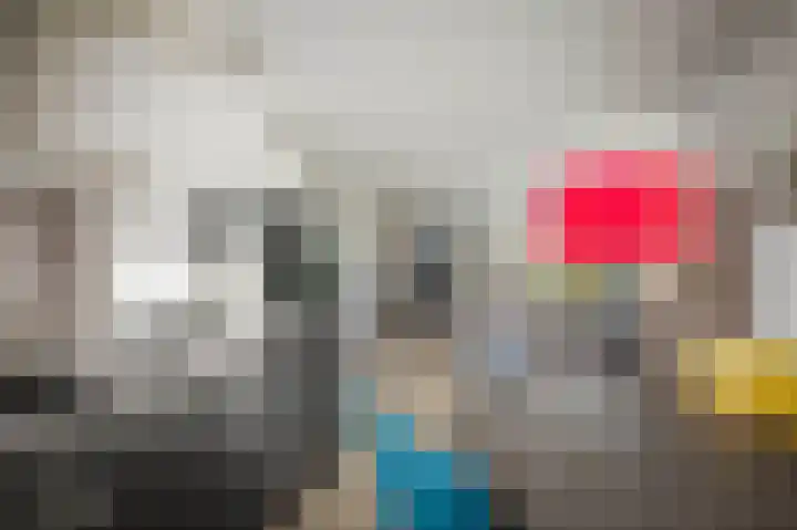 Roodborst 14 Olst thumbnail 7