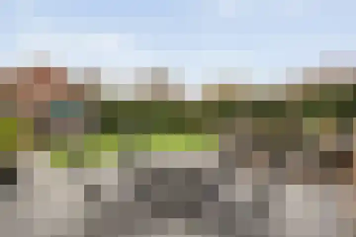 Roodborst 24 Ommen thumbnail 36