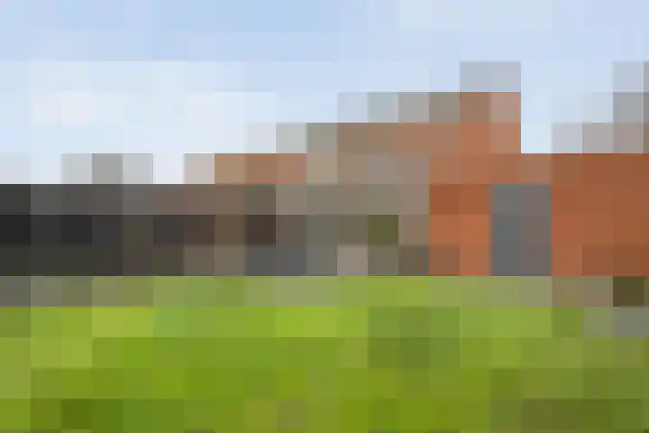 Roodborst 24 Ommen thumbnail 37