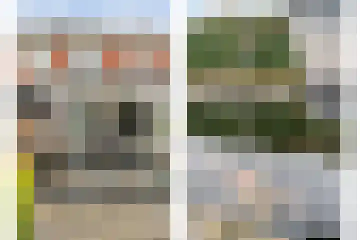 Roodborst 24 Ommen thumbnail 39