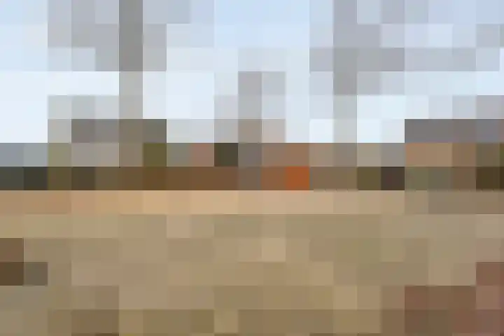 Roodborst 24 Ommen thumbnail 40