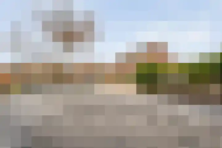 Roodborst 24 Ommen thumbnail 8