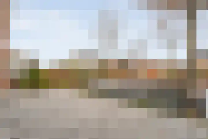 Roodborst 24 Ommen thumbnail 9