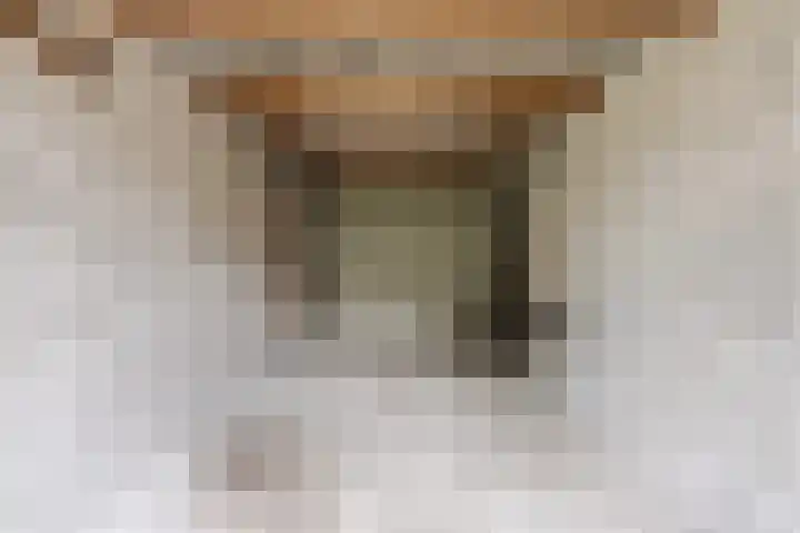 Roodborst 35 Ommen thumbnail 32