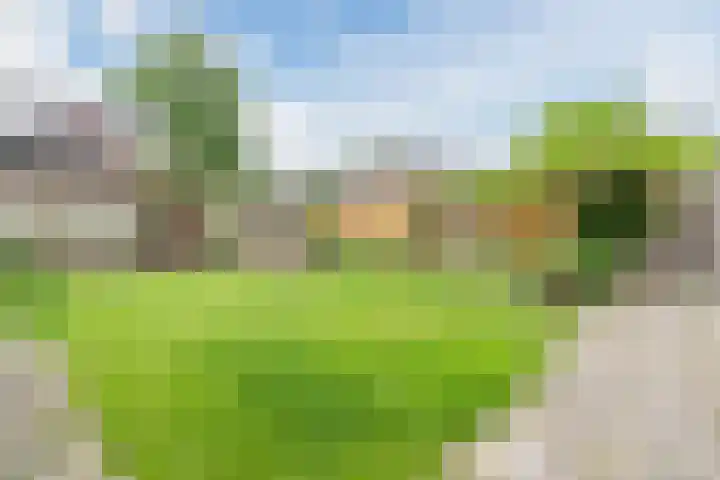 Roodborst 35 Ommen thumbnail 37