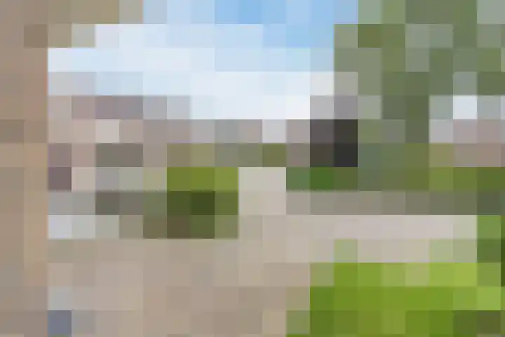 Roodborst 35 Ommen thumbnail 39