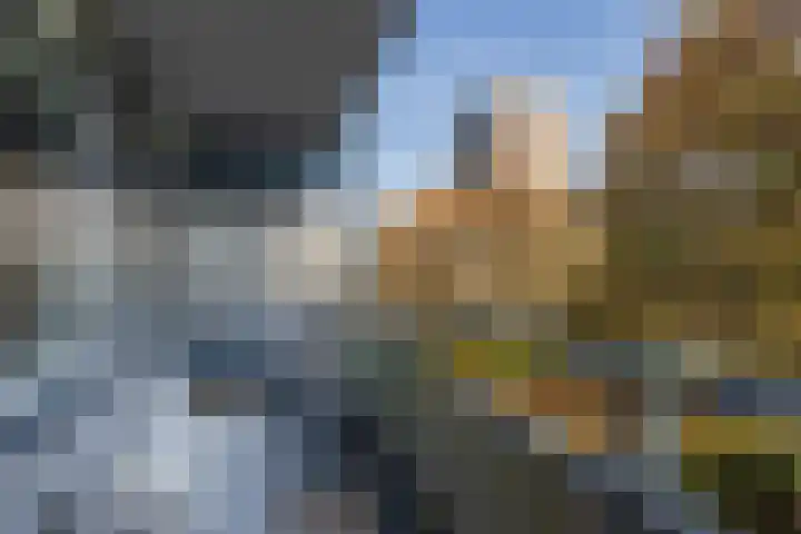 Roodborststraat 55 Leiderdorp thumbnail 4