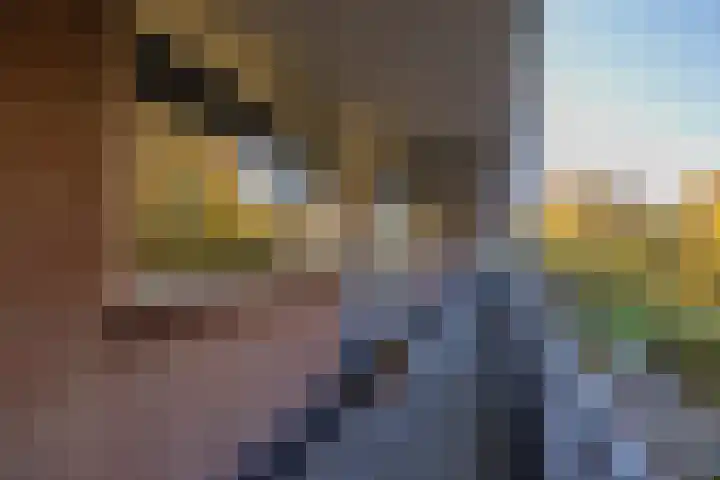 Roodborststraat 55 Leiderdorp thumbnail 5