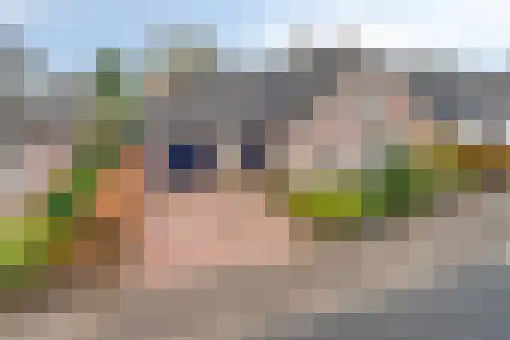 Roode Beek 20 Chaam