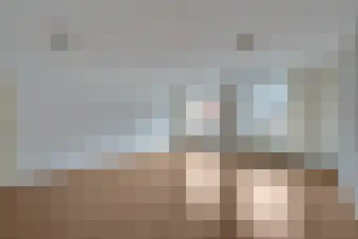 Roode Leeuw 14 Schoorl thumbnail 12