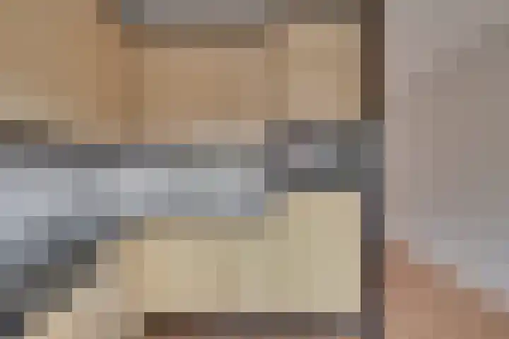 Roode Leeuw 14 Schoorl thumbnail 16