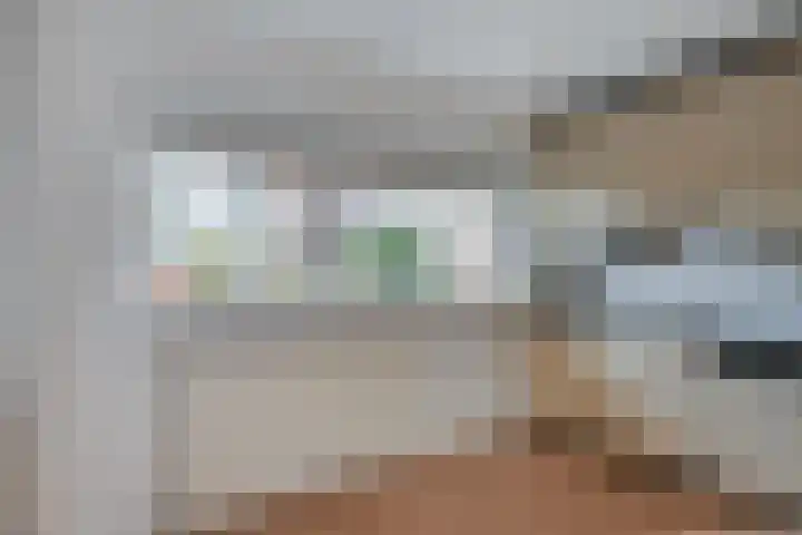 Roode Leeuw 14 Schoorl thumbnail 17