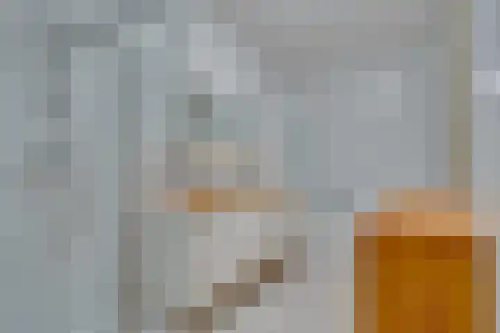 Roode Leeuw 14 Schoorl thumbnail 22