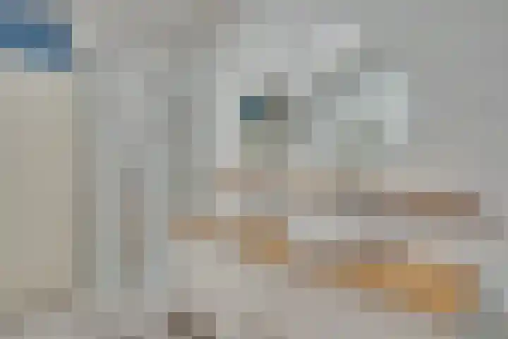 Roode Leeuw 14 Schoorl thumbnail 24