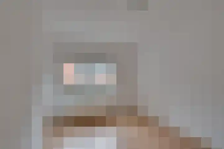 Roode Leeuw 14 Schoorl thumbnail 26