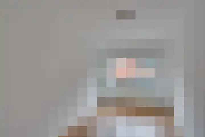 Roode Leeuw 14 Schoorl thumbnail 27