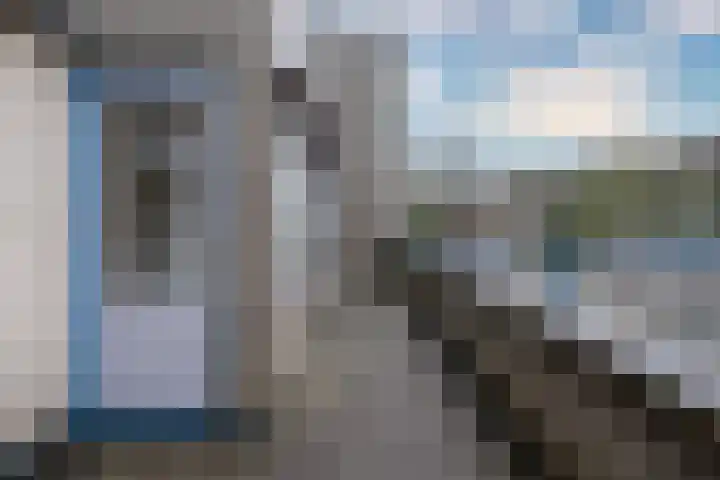 Roode Leeuw 14 Schoorl thumbnail 30