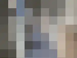 Roode Leeuw 14 Schoorl thumbnail 31