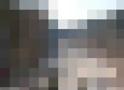 Roode Leeuw 14 Schoorl thumbnail 33