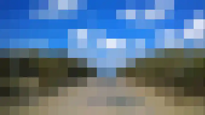 Roode Leeuw 14 Schoorl thumbnail 35