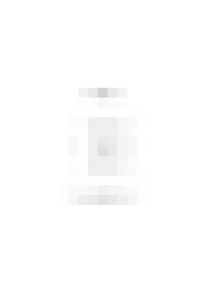 Roode Leeuw 14 Schoorl thumbnail 44
