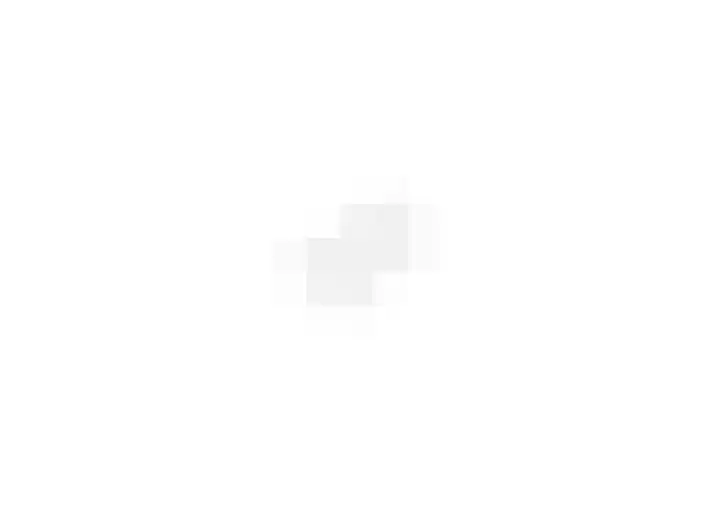 Roode Leeuw 14 Schoorl thumbnail 45