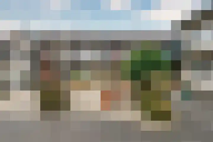 Roode Leeuw 14 Schoorl thumbnail 5