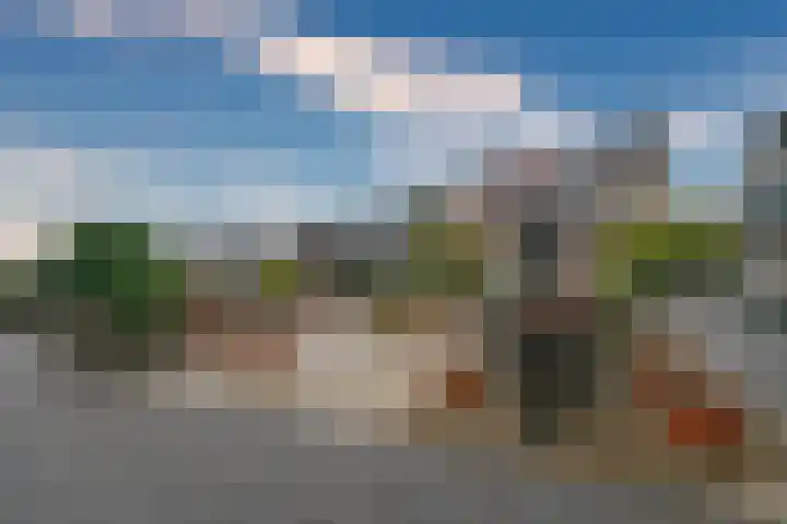 Roode Leeuw 14 Schoorl thumbnail 7