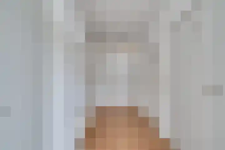 Roode Leeuw 14 Schoorl thumbnail 8