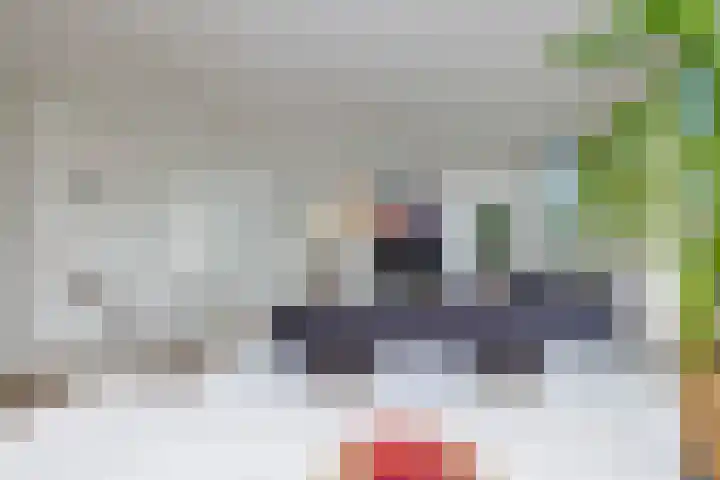 Roodeswerf 30 Hensbroek thumbnail 11