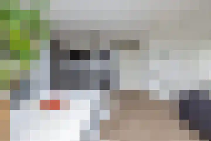 Roodeswerf 30 Hensbroek thumbnail 15