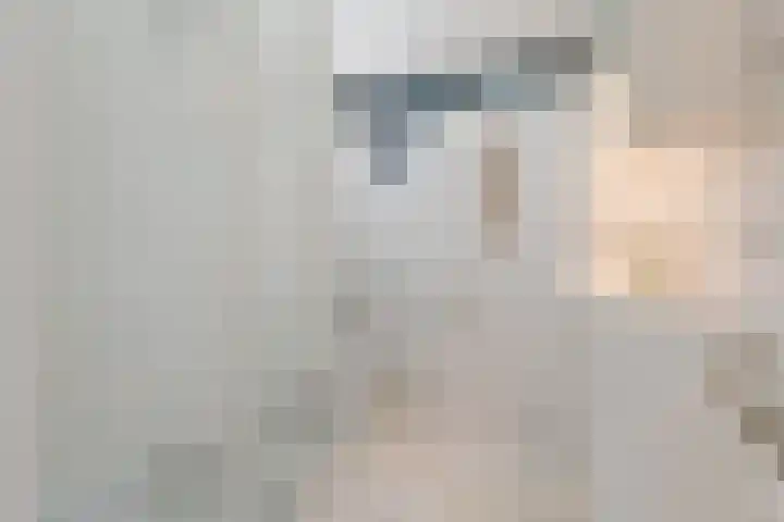 Roodkapje 2 Eindhoven thumbnail 20