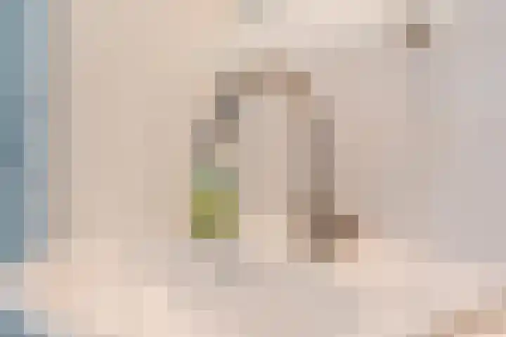Roodkapje 2 Eindhoven thumbnail 21