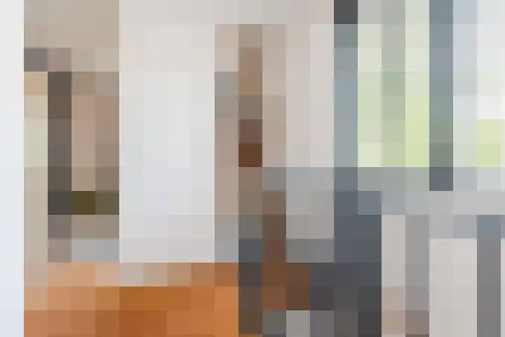 Roodkapje 2 Eindhoven thumbnail 23