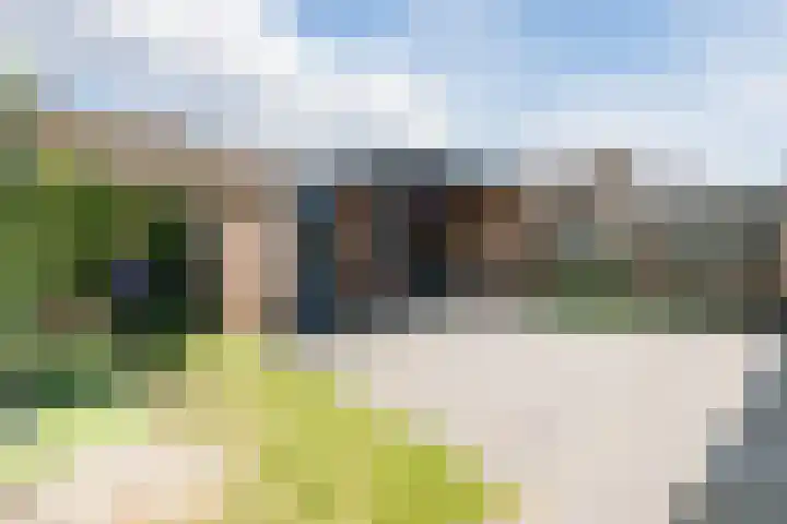 Roodkapje 2 Eindhoven thumbnail 29