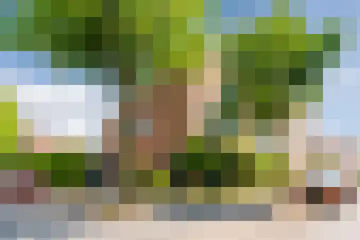 Roodkapje 2 Eindhoven thumbnail 34