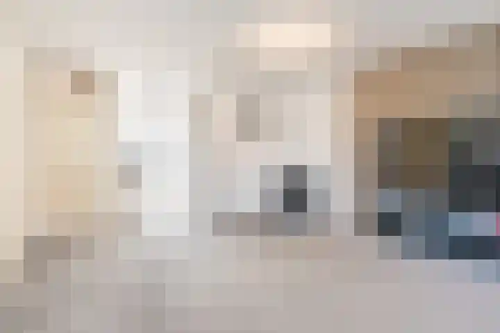 Roodkapje 2 Eindhoven thumbnail 7