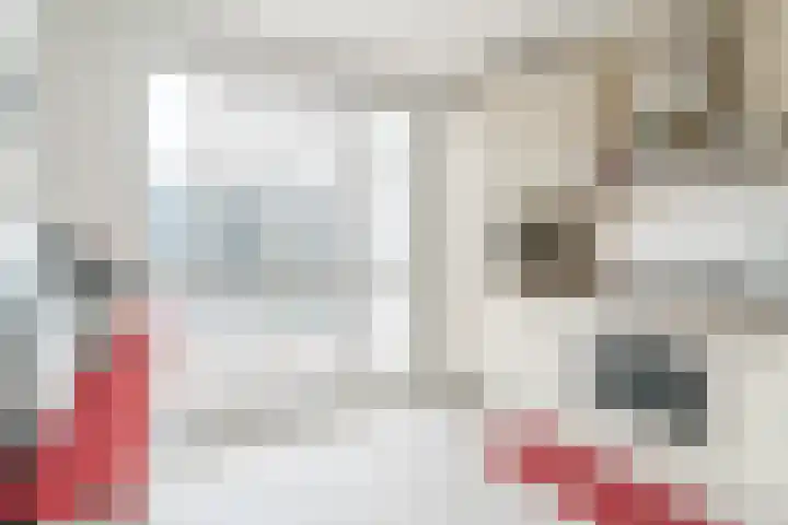 Roodkapje 2 Eindhoven thumbnail 8