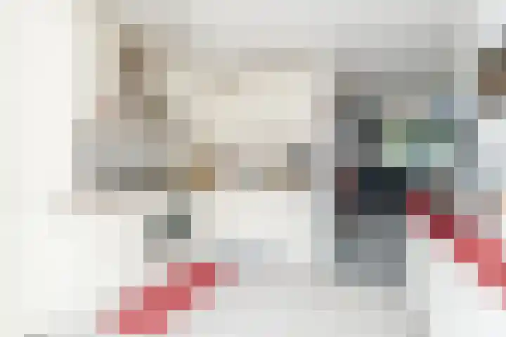 Roodkapje 2 Eindhoven thumbnail 9