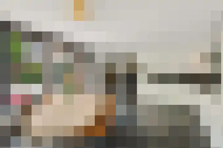 Roodwilligen 64 Zevenaar thumbnail 23