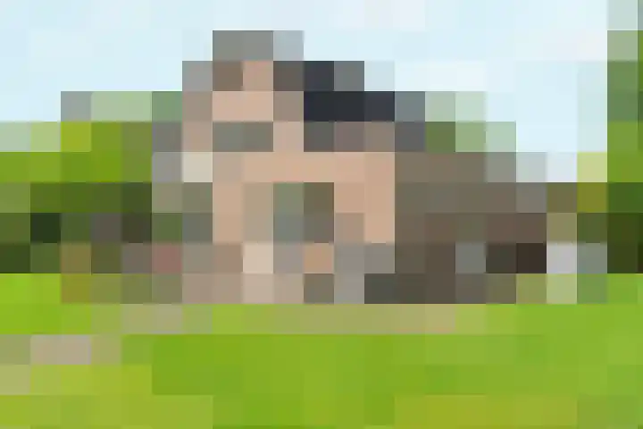 Roodwilligen 64 Zevenaar thumbnail 60