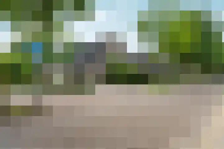 Roodwilligen 64 Zevenaar thumbnail 65