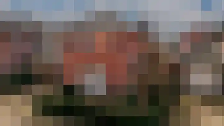 Roodwilligen 87 Zevenaar thumbnail 18