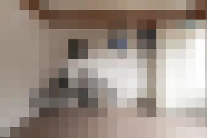 Roodwilligen 87 Zevenaar thumbnail 22