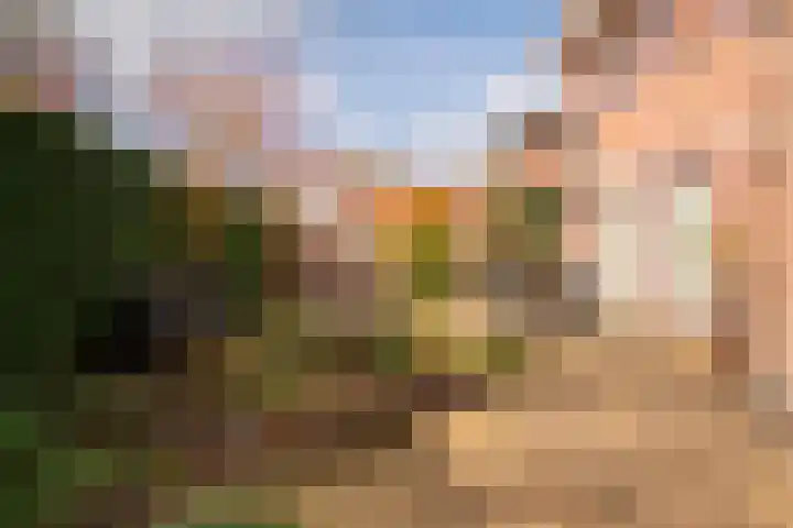 Roodwilligen 87 Zevenaar thumbnail 27